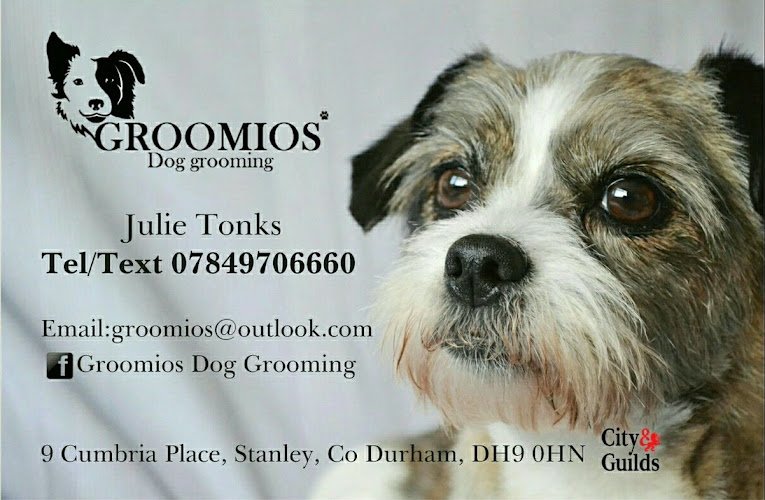 Groomios dog grooming