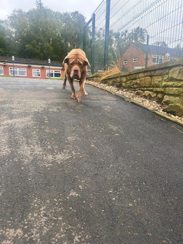 Lanchester Pet Resort