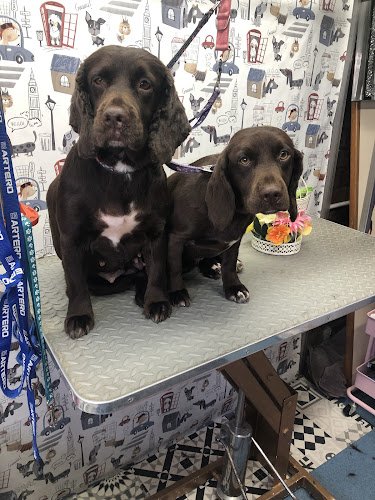 Tanya's Dog Grooming