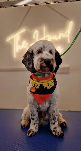 The Hound Lounge