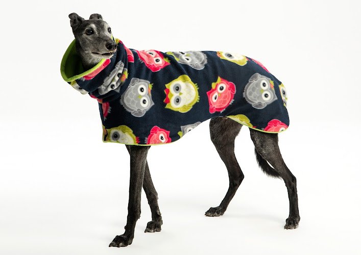 DogandHomeUk