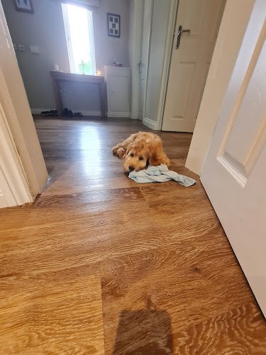 Leila's Housekeeping