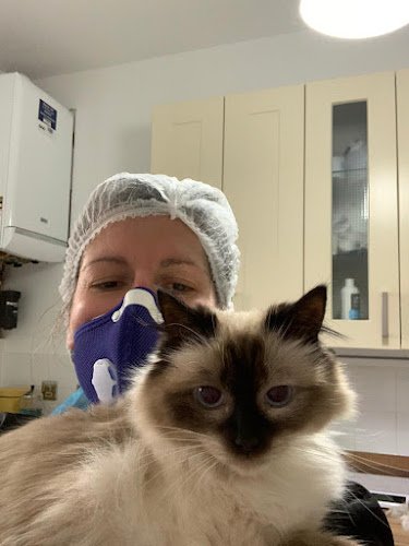 Purrs and Furr Cat Grooming