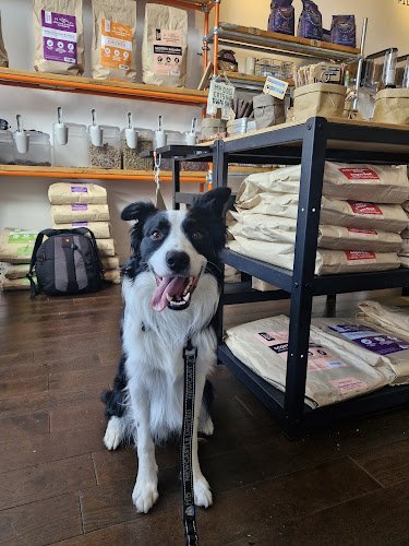 The Dog Grocer
