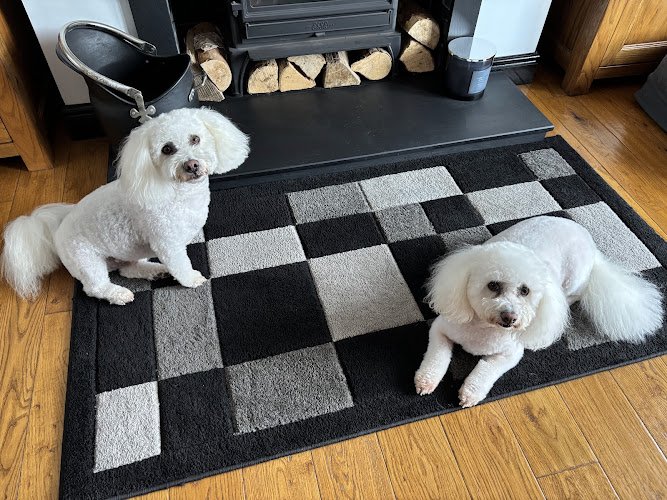 David’s Dog Deli