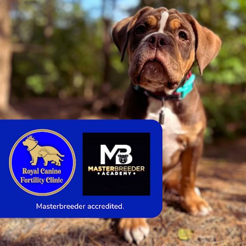 RBK Pet Supplies Limited & Royal Canine Fertility Clinic