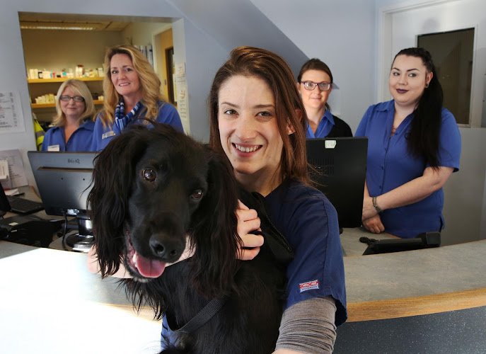 Westway Veterinary Group, Wideopen