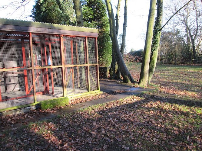 Ferndene Cattery
