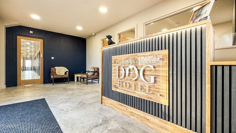 Northumberland Dog Hotel