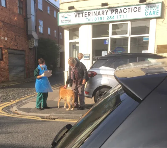 Blythman & Partners - Gosforth Veterinary Hospital