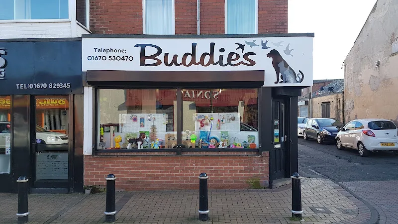 Buddies Pet Supplies