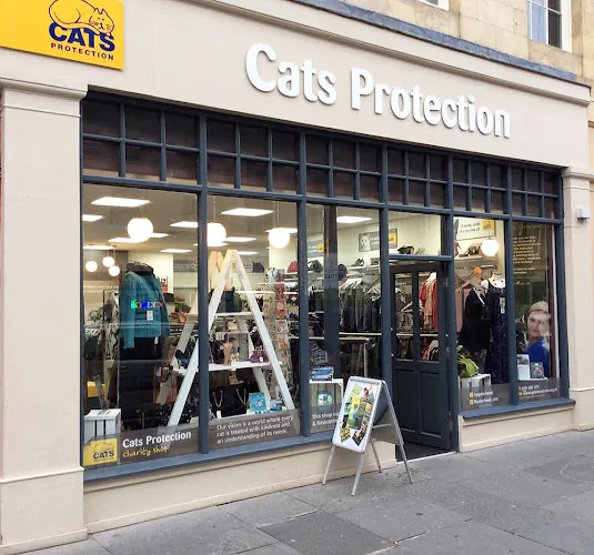 Cats Protection - Newcastle upon Tyne Charity Shop