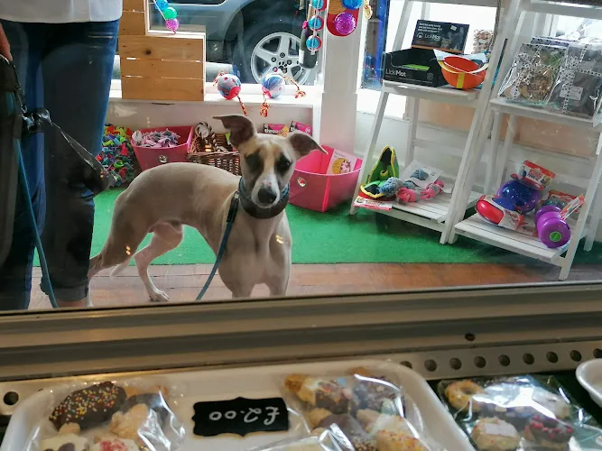 Doggy Delish Deli