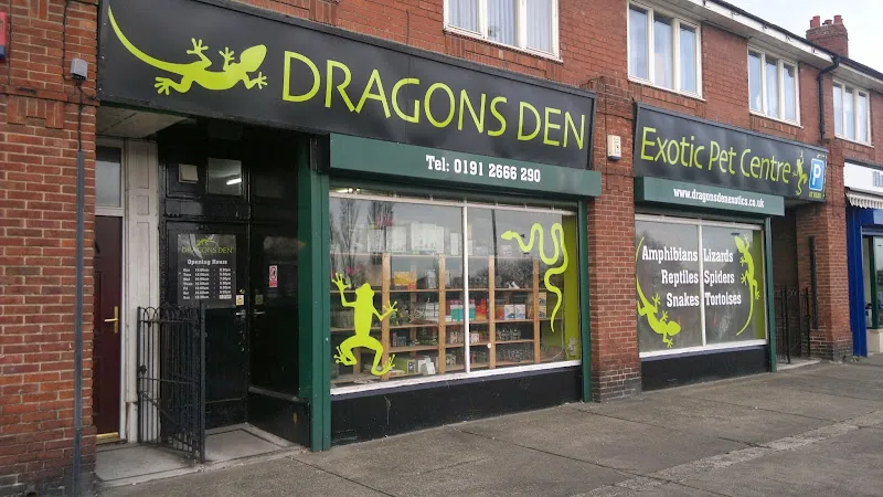 Dragons Den Exotic Pets- Reptiles, Snakes, Amphibians, Lizards, Arachnids
