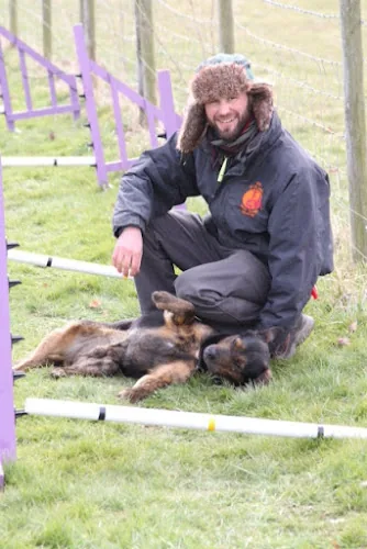 Durham Dog Care