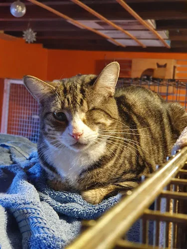 Farplace Animal Rescue
