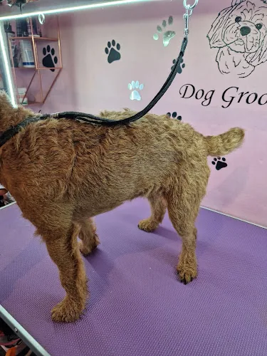 Feels Like Home Dog Grooming