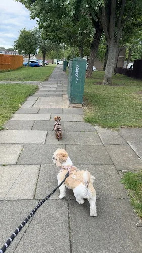 Four Loving Paws