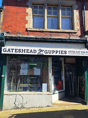 Gateshead Guppies