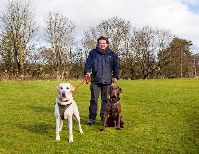 Good Dog Walking Ltd