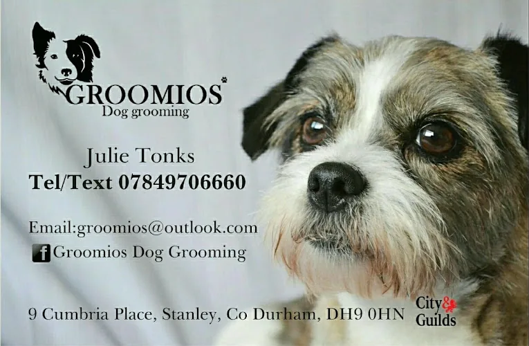 Groomios dog grooming