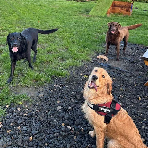 Hawthorn Boarding Kennels and Cattery