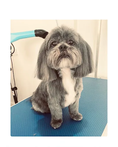 K9 beauty station