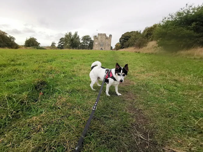 K9 Ramblers