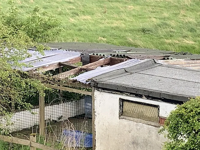 Kirkley Mill Kennels & Cattery
