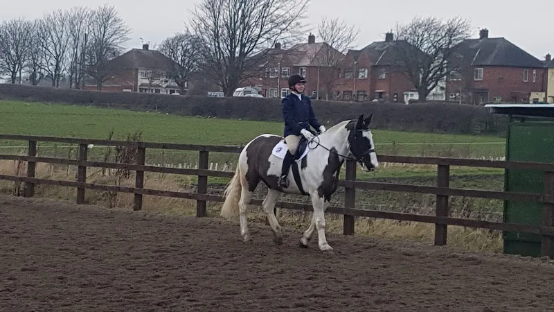 Lane Farm Equestrian