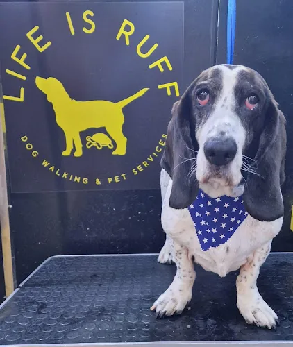 Life is Ruff - Dog Walking & Pet Services