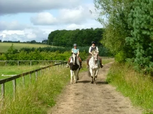 Low Meadows Equestrian Centre