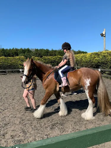 Meadow View Equestrian Centre