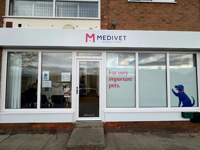 Medivet Low Fell