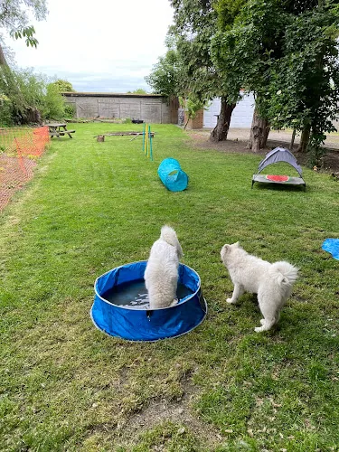 Mika & Friends