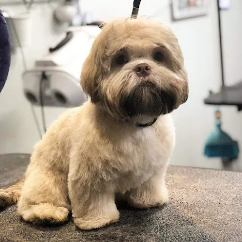 Nanna Meg's Grooming Parlour