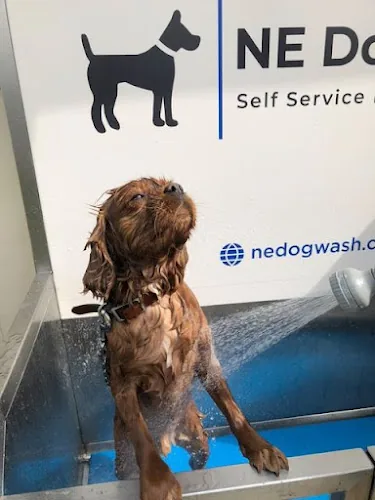 NE Dog Wash
