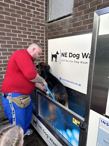 NE Dog Wash
