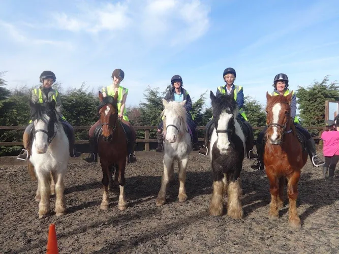 North Lizard Riding School