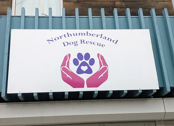 Northumberland Dog Rescue Charity Shop