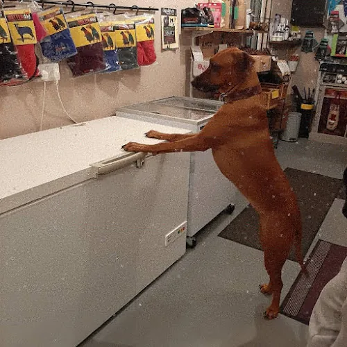 Pawfectly Natural North East