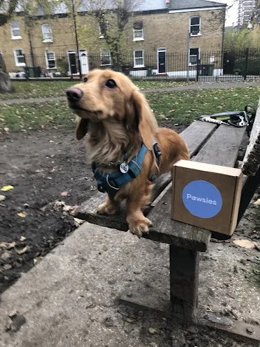 Pawsies Dog Daycare