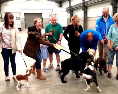 Perfect Pawz! Training & Behaviour Practice