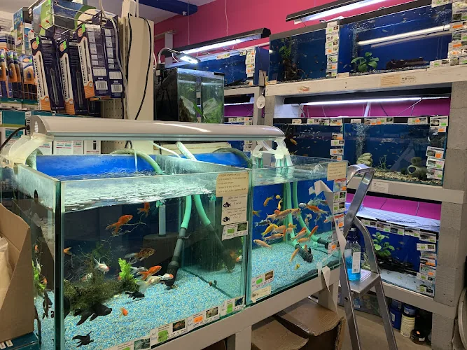 Pet Buys