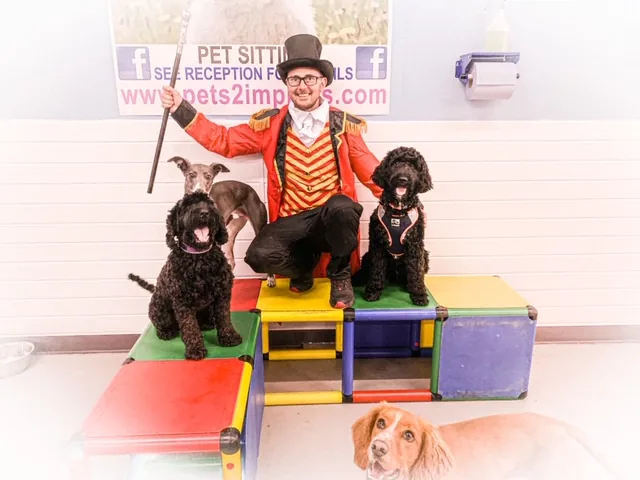 Pets2impress Ltd
