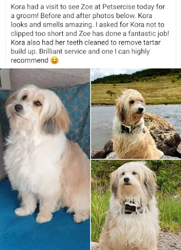 Petsercise Hydro Grooming (Tantobie)