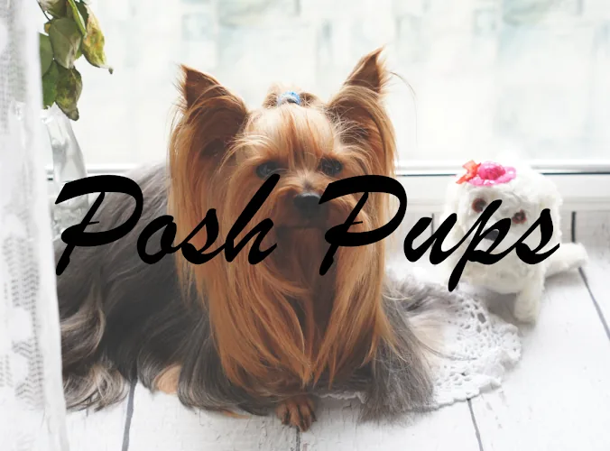 Posh Pups
