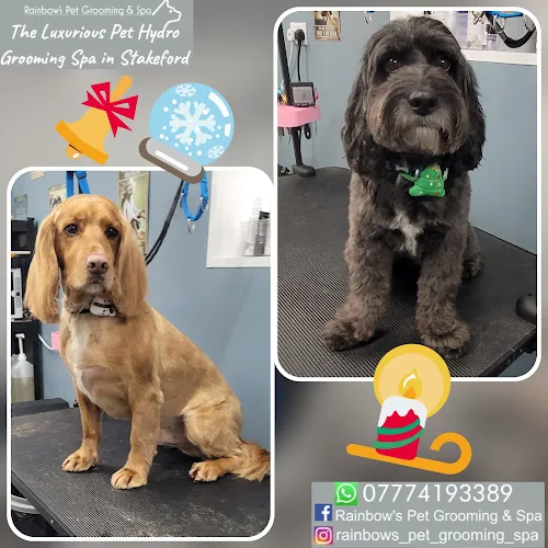 Rainbow's Pet Grooming & Spa