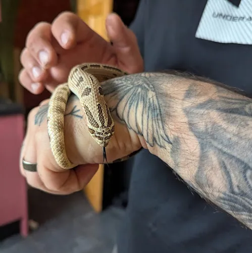 Redlands Reptile Rescue