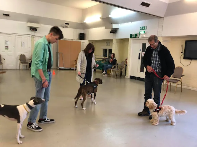 Ruff Diamond Dog Training
